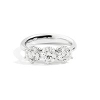 Anillo Recarlo Mujer Anniversary in Oro blanco Diamante 0.555 Ct R01TY001/054 - R01TY001/054